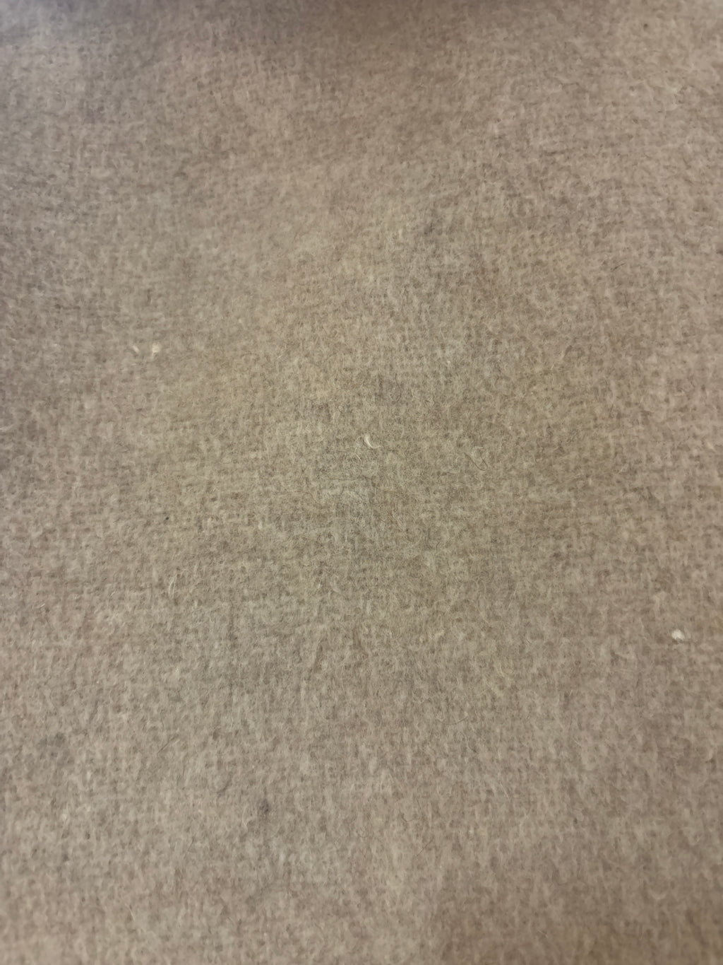 Finnbird takki koko 36